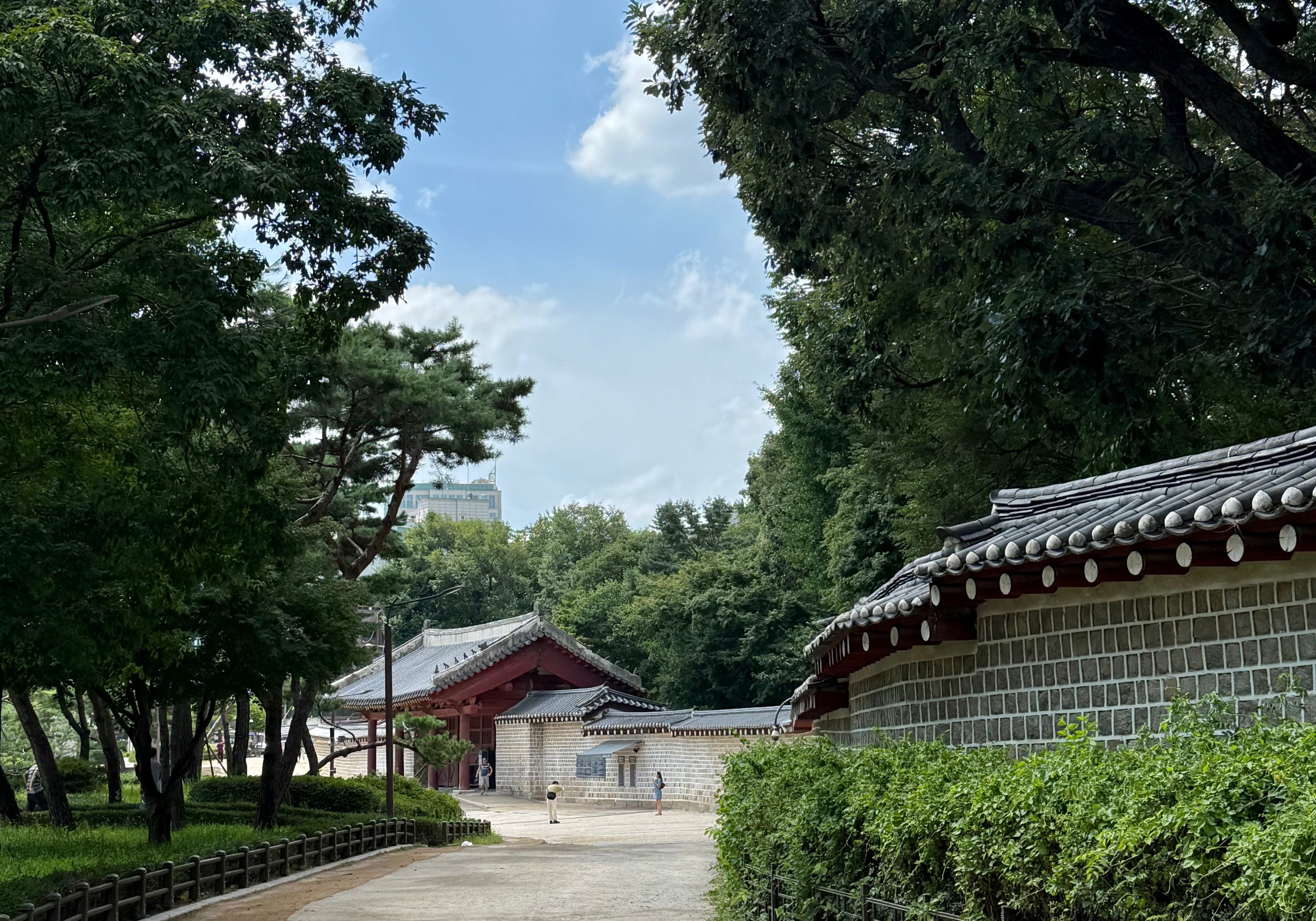 Through the Lens #21: Korea