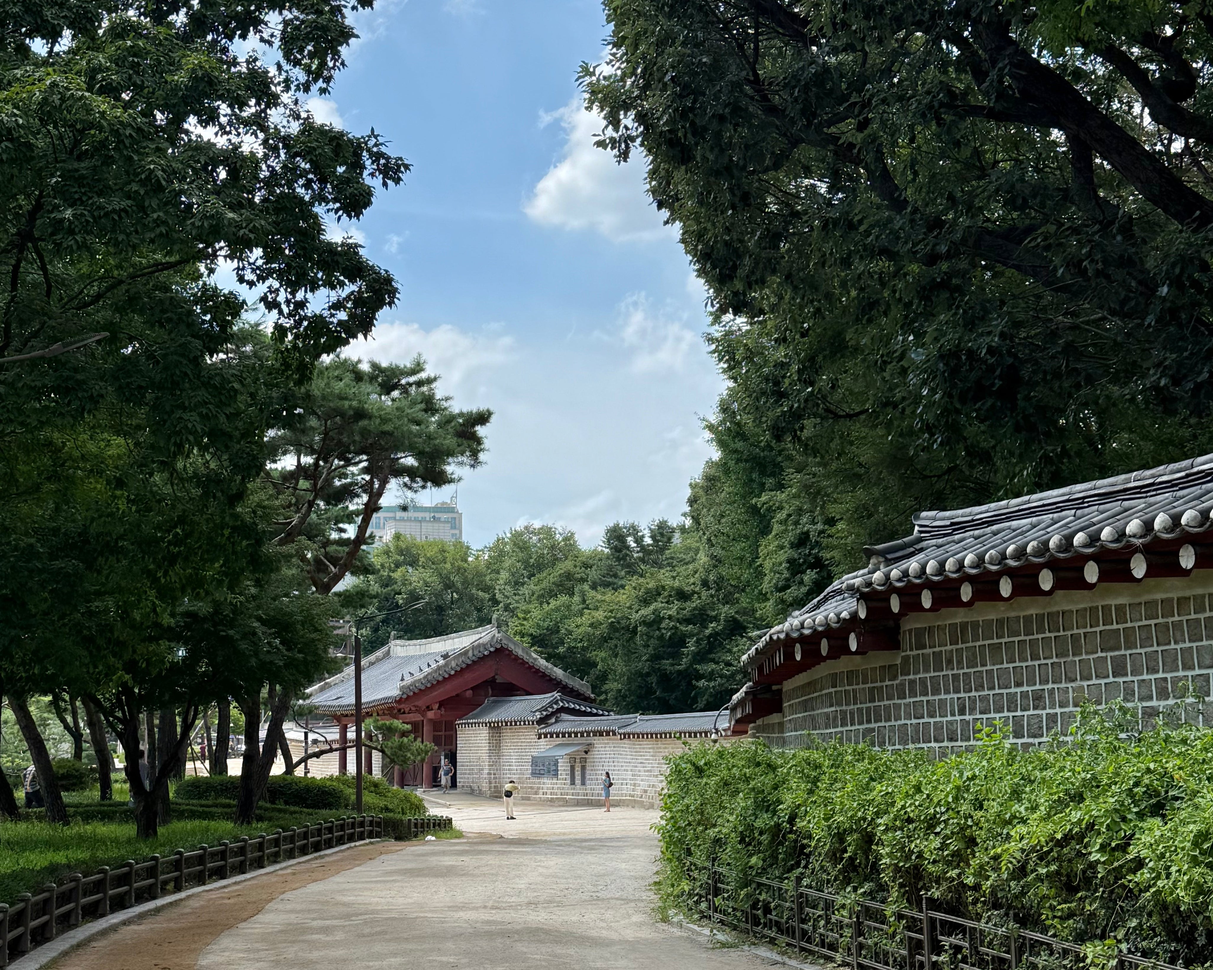 Through the Lens #21: Korea