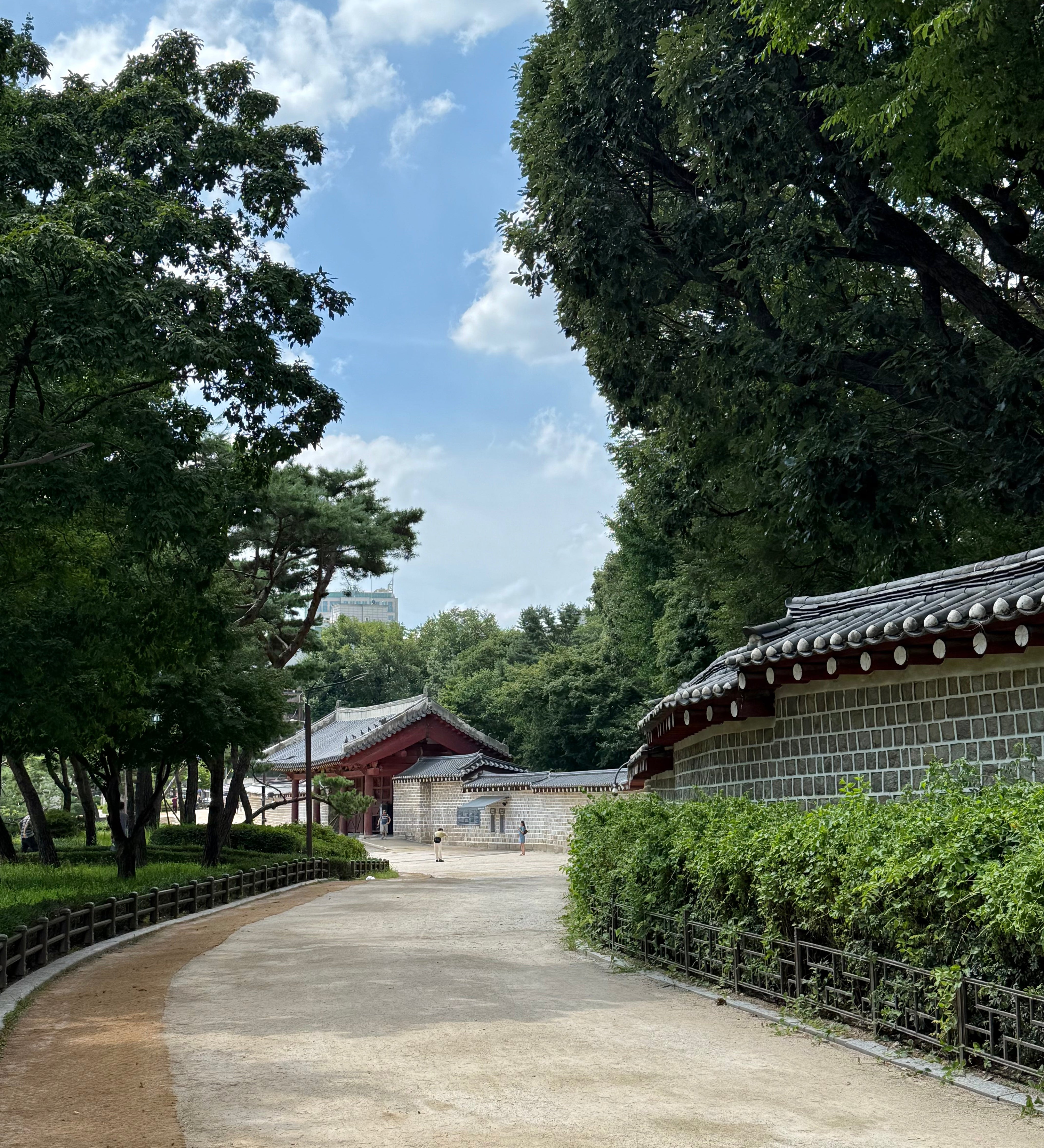 Through the Lens #21: Korea