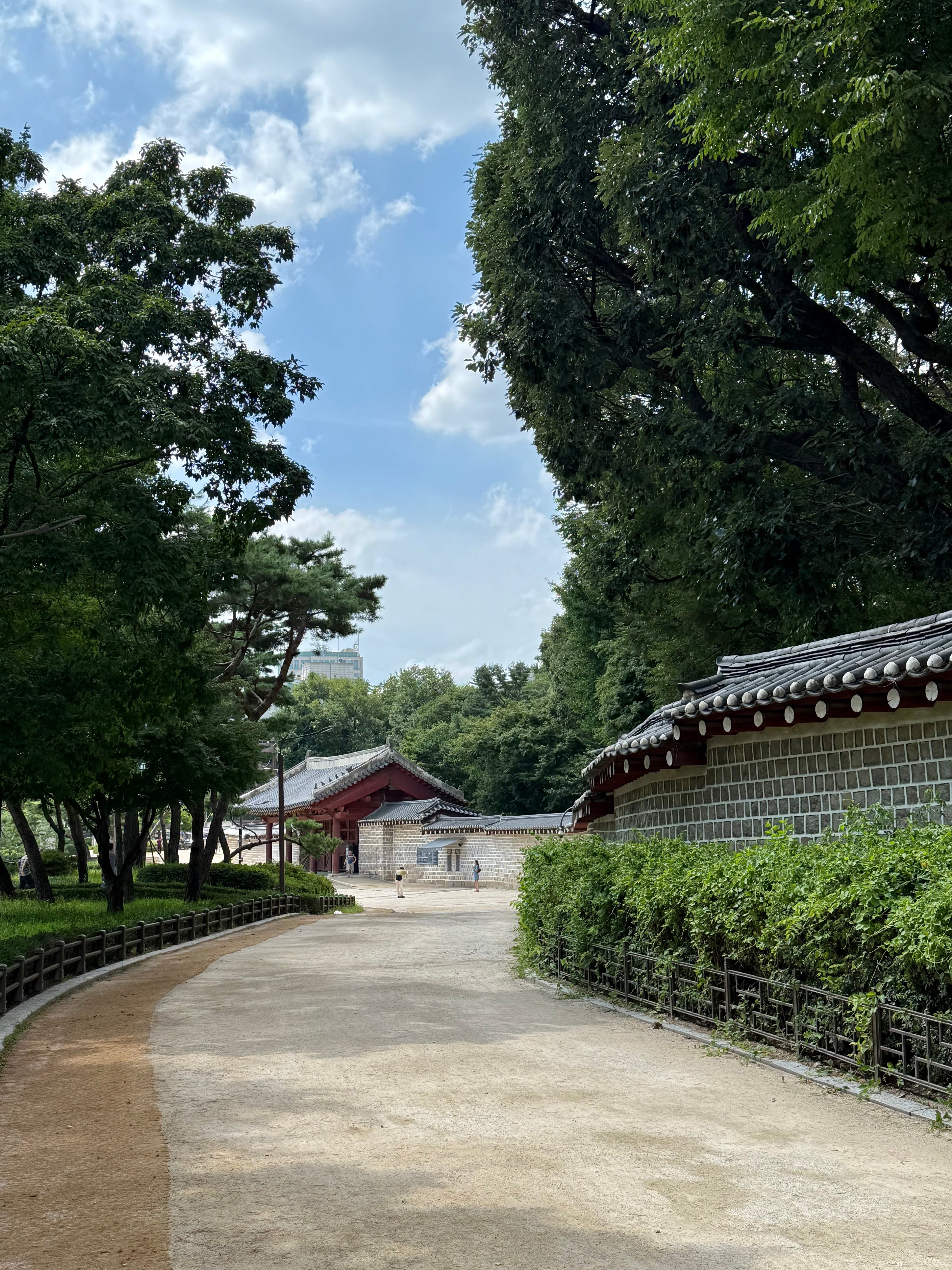 Through the Lens #21: Korea
