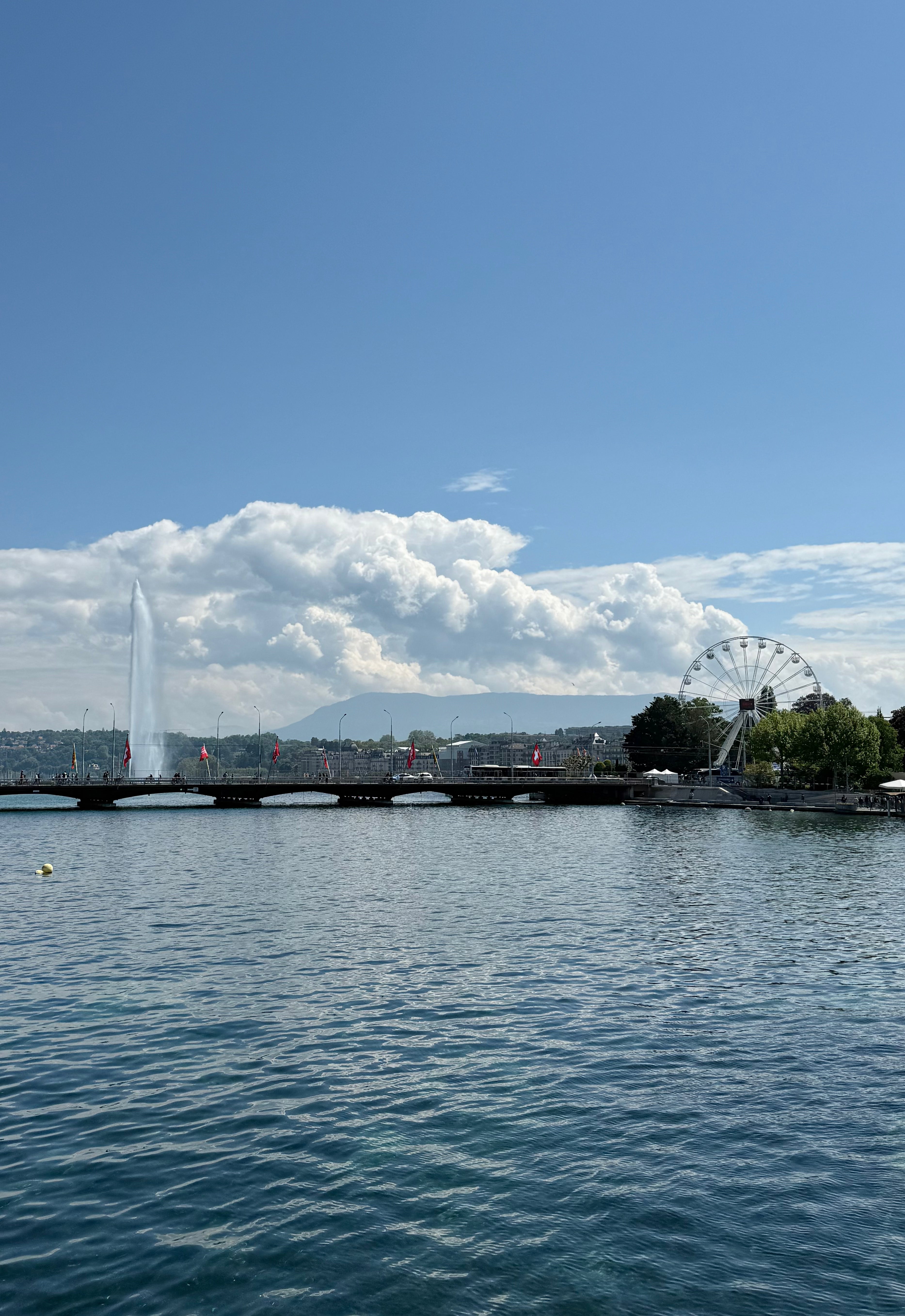 Through the Lens #10 Geneva Auction